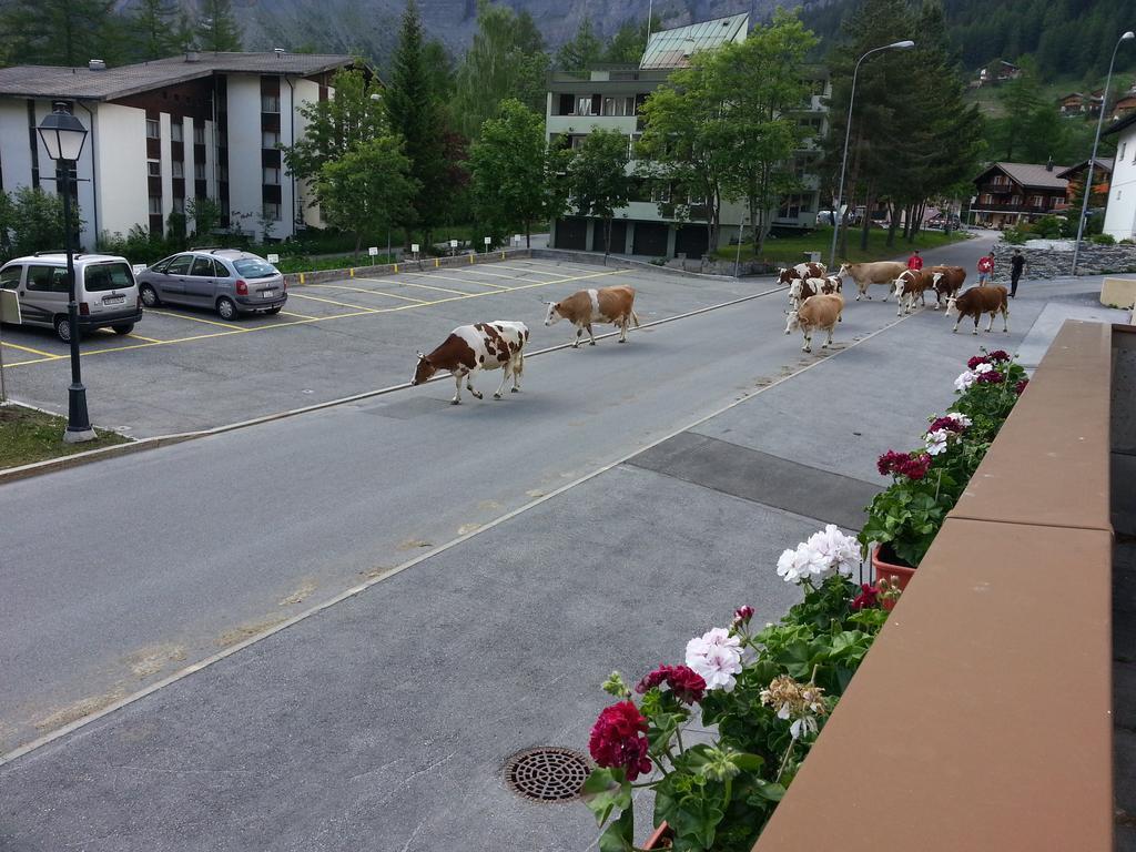 Haus Marmotta Apartment Leukerbad Luaran gambar